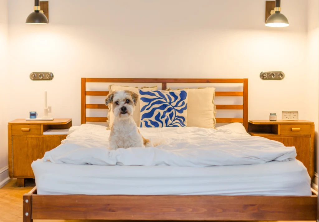 ukryte bariery w najmie